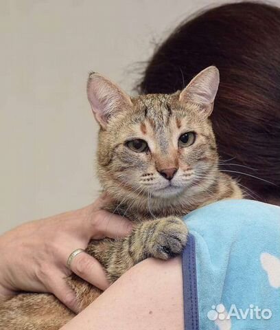 Европейская