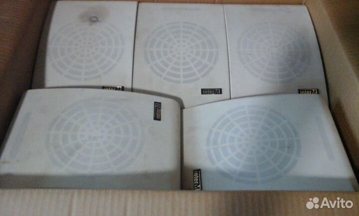 Inter chanstek grundig