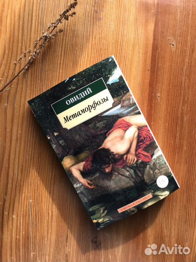 Метаморфозы. Овидий