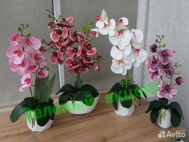 Орхидеи
