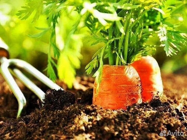 Грунт растительный