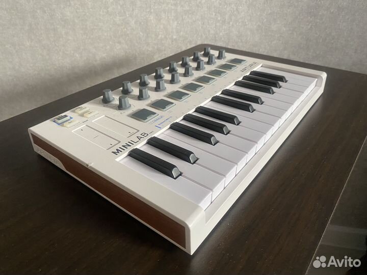 Arturia minelab mk2