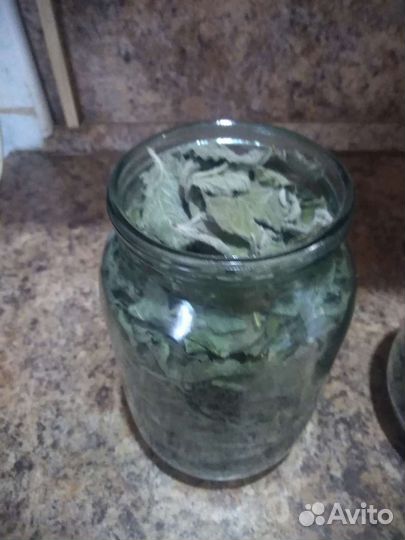 Мята сушеная