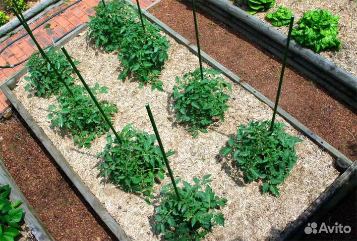 Опилки для мульчирования