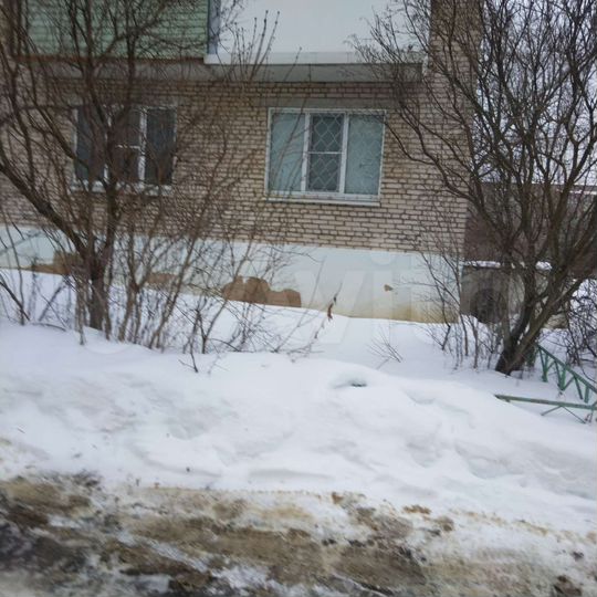 1-к. квартира, 30 м², 1/5 эт.