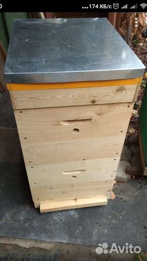 Улья улики новые