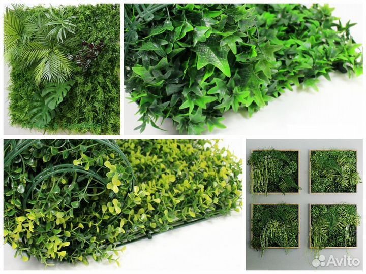 Декоративная зелень: цветы, кусты и мох. Оптом