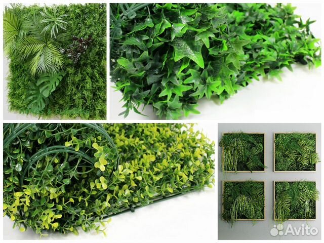 Декоративная зелень: цветы, кусты и мох. Оптом