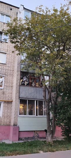 1-к. квартира, 34,9 м², 2/5 эт.