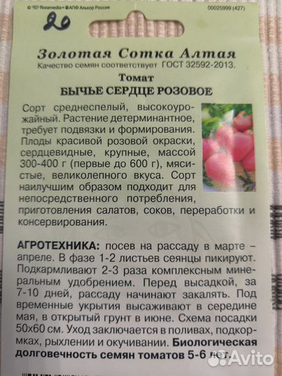 Рассада помидор