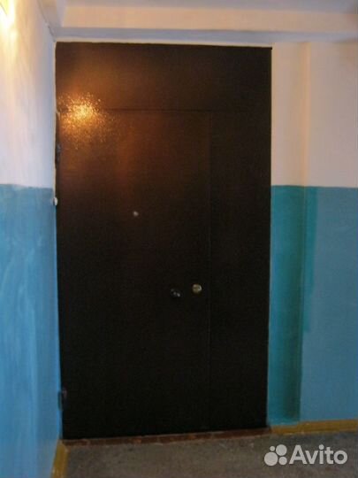 Тамбурная дверь