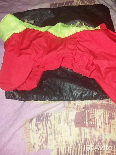 Одежда для йорка