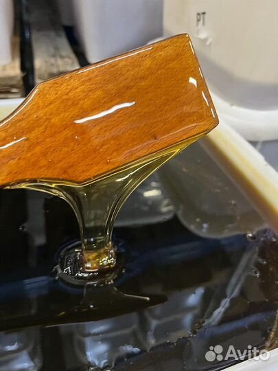 Мед оптом. Мед липовый