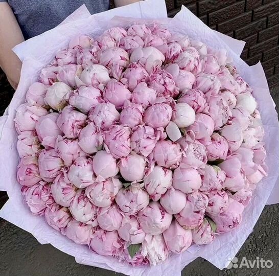 101 пион цветы букеты доставка