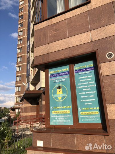 Педагог раннего развития