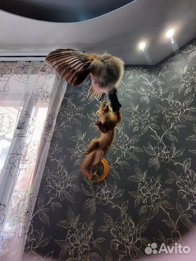 Чучело куницы, без доставки