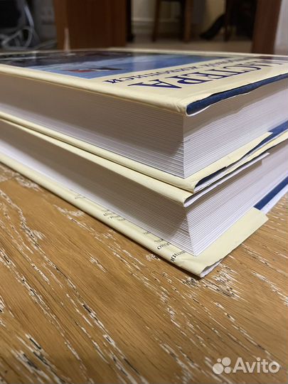 Книги. Мастера мировой живописи. 2 тома