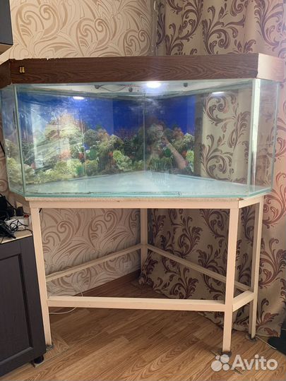 Аквариум