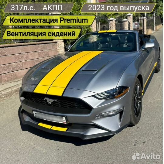 Прокат аренда авто кабриолета Mustang, Mini