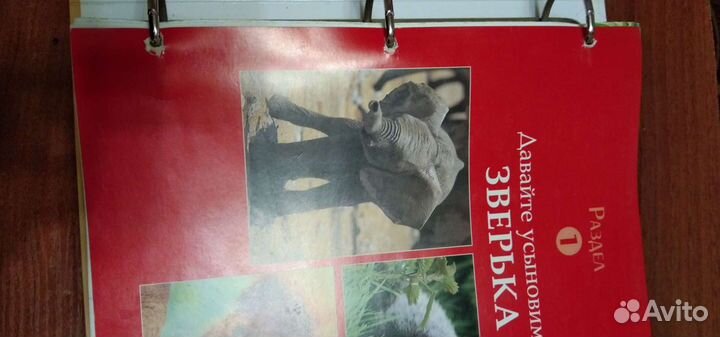 Животные нашей планеты