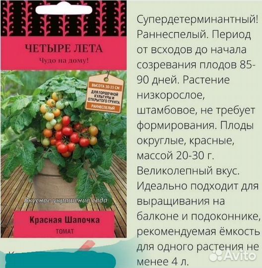 Рассада томатов помидор черри