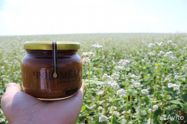 Мёд Гречишный, монофлерный - полезный, см отзывы