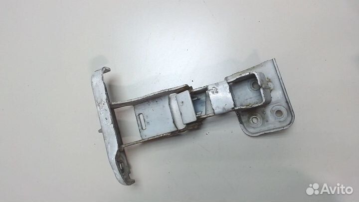 Петля двери Peugeot Expert, 2009