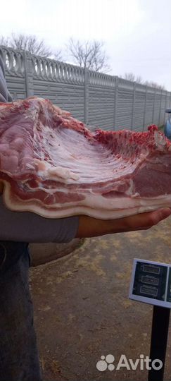 Домашнее мясо свинины (Подробности в описание)