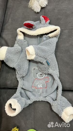 Одежда для собаки