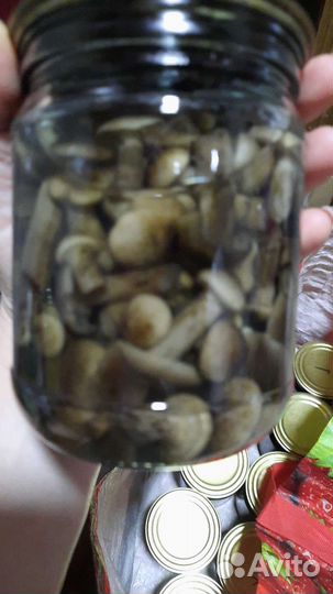 Маринованные опята, рыжики, подбер-ки, волнушки