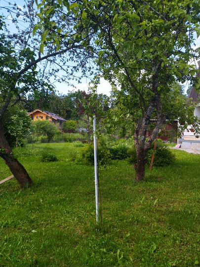 Дом 150 м² на участке 12,3 сот.