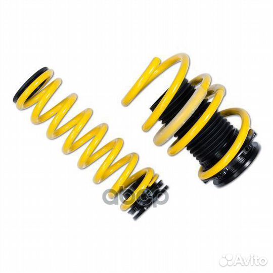 Пружины рег. по высоте 27310056 ST suspensions