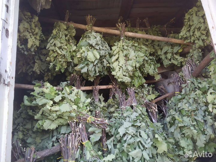 Банные веники береза