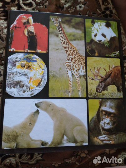 Карточки-энциклопедия