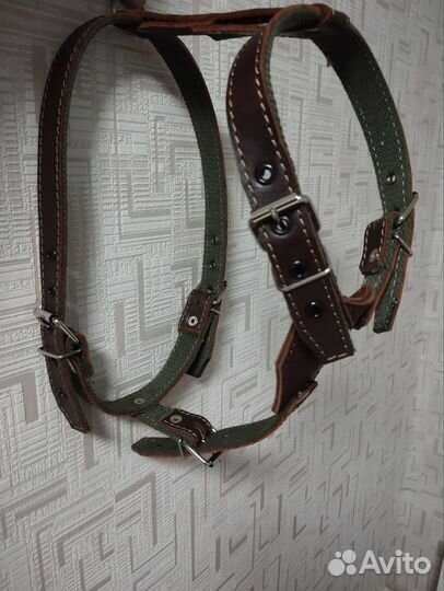 Шлейка для собак