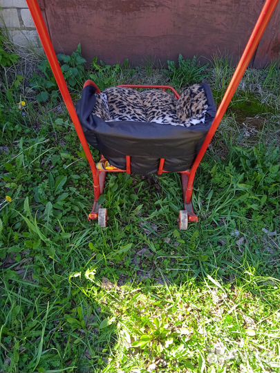 Детские зимние санки на колесах