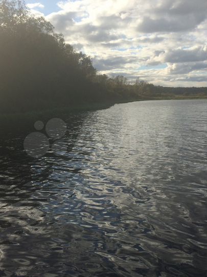 Участок 38 сот. (ИЖС)