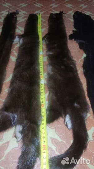 Норковые шкурки