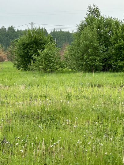 Участок 10,4 сот. (ИЖС)