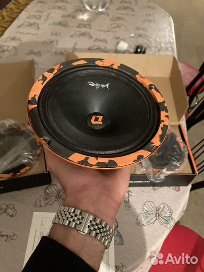 Dl audio barracuda 165