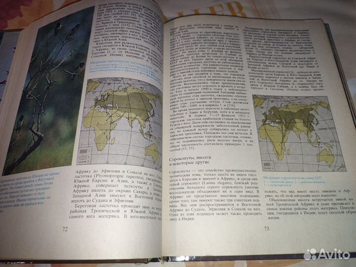 Кай Карри-Линдал. Птицы над сушей и морем. Миграци