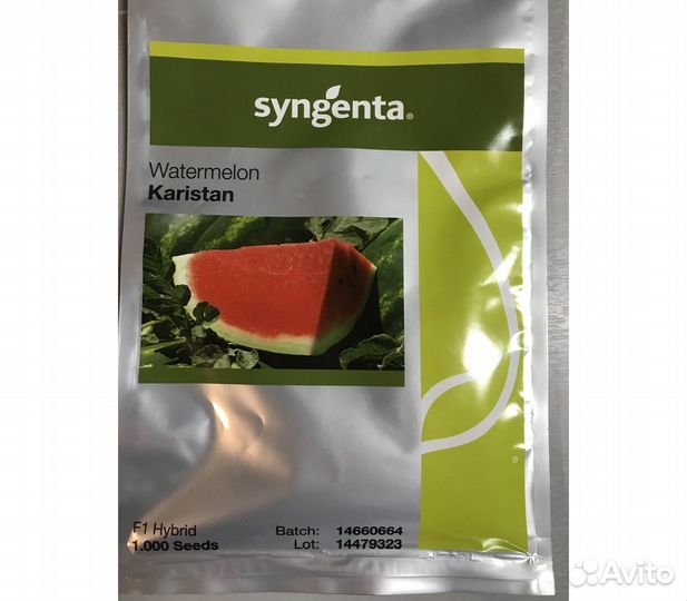 Рассада арбуза