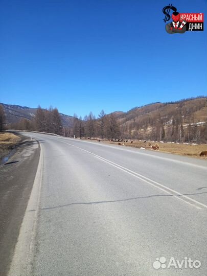 Инвестиции в землю на Алтае / коммерческая земля