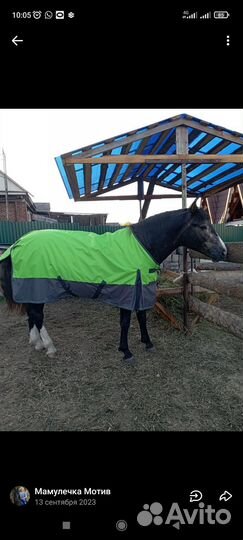 Попона для лошади