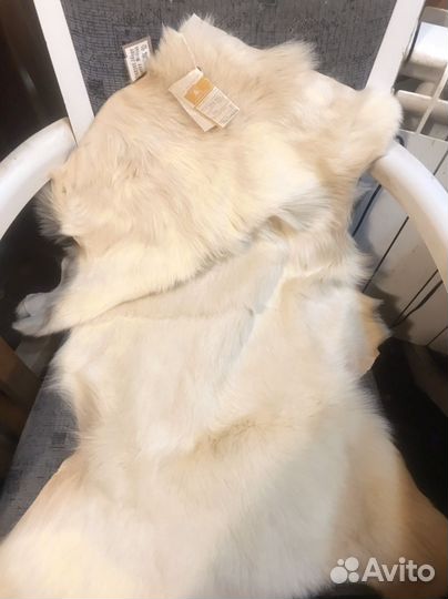 Шкура волка натуральная