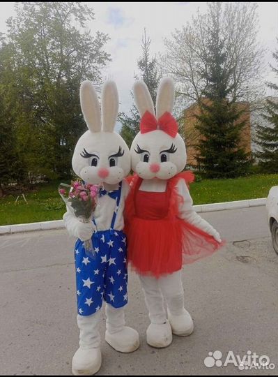 Костюм ростовой куклы