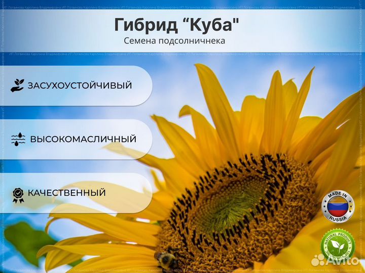 Семена гибрида подсолнечника 