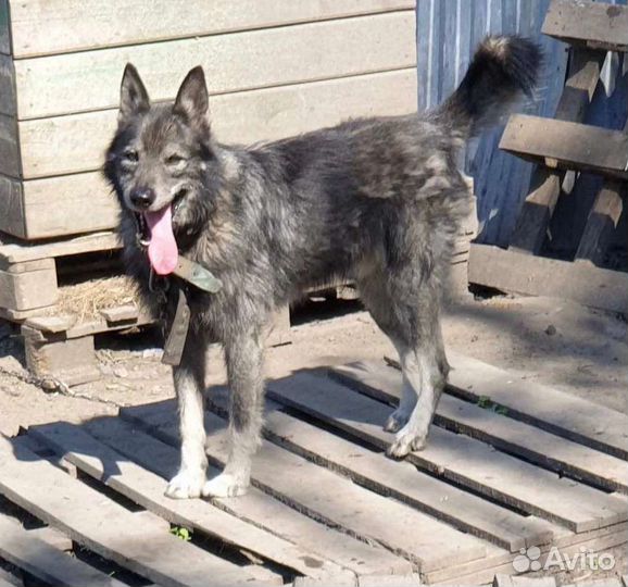 Отличный парень