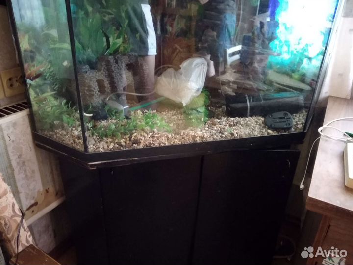 Аквариум