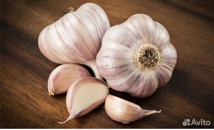 Продается чеснок